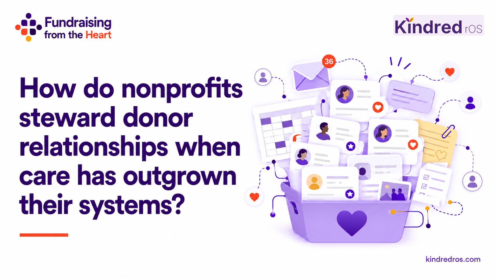 The Care Has Outgrown the System, Fundraising from the Heart cover